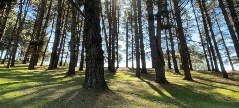 Mi circunstancia, tu circunstancia.